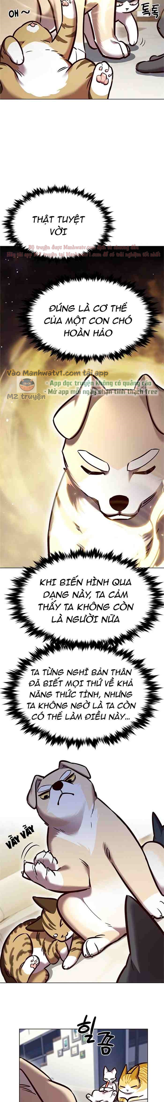 Đọc truyện Hóa thân thành mèo (Bản Free) - Chap 280